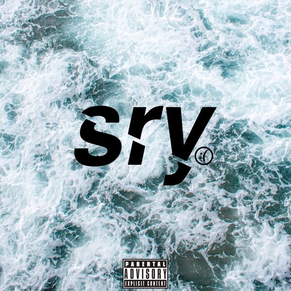 Cover art for Sinking